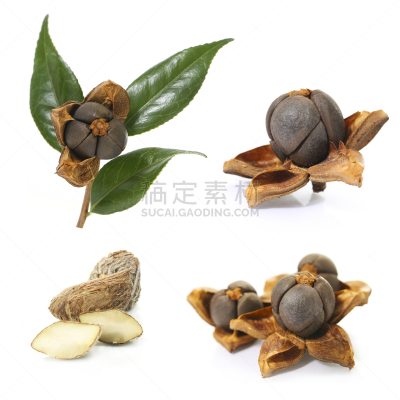 熟的,坚果,茶花,白色背景,开着的,种子,健康保健,自然界的状态,背景分离,食品