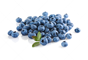 蓝莓,特写,清新,熟的,风景,美,水平画幅,枝繁叶茂,素食,生食