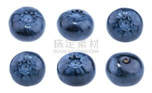 蓝莓,白色背景,分离着色,阴影,越橘,藓沼,合成图像,水平画幅,黑刺莓,无人