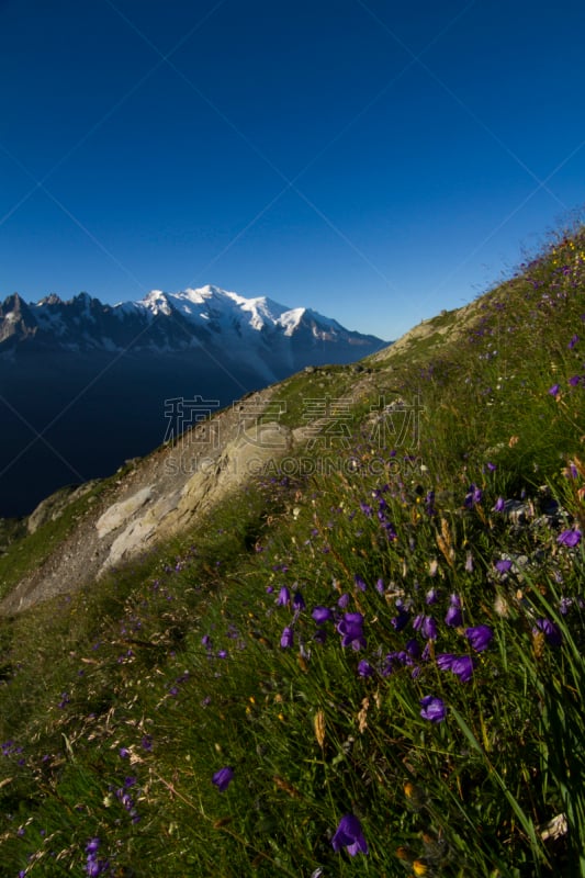 地形,阿尔卑斯山脉,法国,勃朗峰,垂直画幅,雪,冰河,无人,夏天,户外