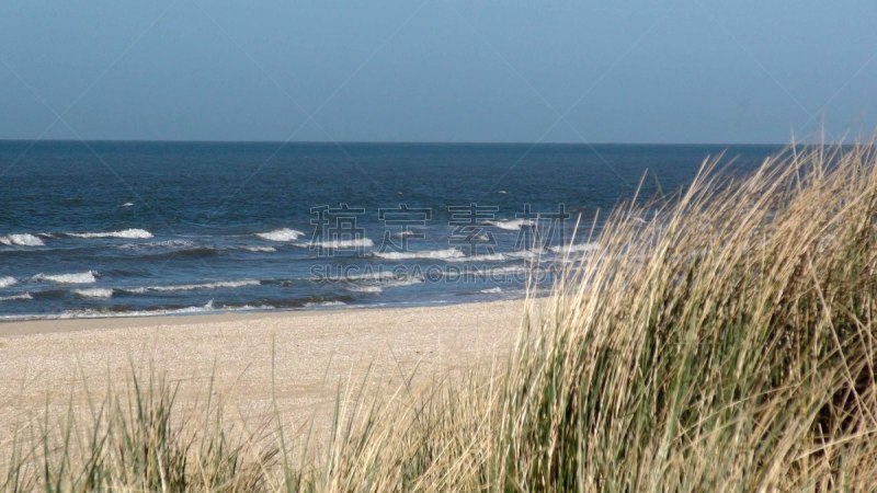 德国北海地区,欧洲,海牙,斯海弗宁恩,荷兰,海滩,风景,风,环境,草