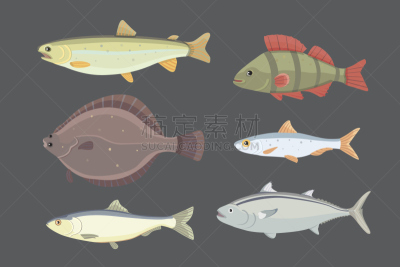绘画插图,矢量,海洋,动物,鱼类,河流,卡通,淡水鱼,分离着色,布置