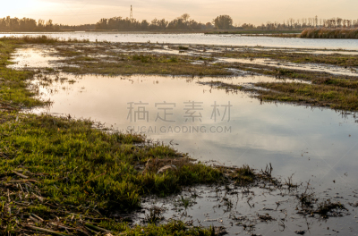 荷兰,沼泽,特拉华,部分,北布拉班特,注意高压标志,公园,水面,河流,银行