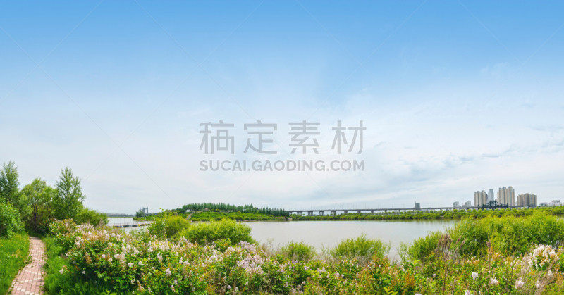 阳光岛,湿地,西,海滩,水,天空,哈尔滨,早晨,夏天,沼泽