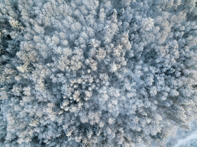 雪,森林,航拍视角,环境,霜,天气,无人机,大风雪,户外,天空