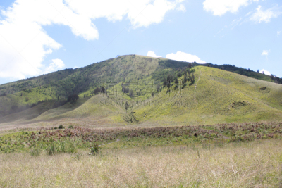 南美大草原,背景幕,山,天空,bromo-tengger-semeru national park,夏天,草,塞梅鲁火山,热带气候,风景