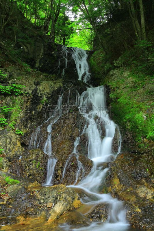 夏天,shiraito falls,垂直画幅,水,瀑布,户外,植物,山,风景,东北片区