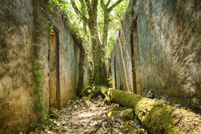 圣约瑟夫君,特拉华,瓢虫,斯德岛,ile du salut,库鲁,法属圭亚那,荒岛,牢房,藤蔓植物
