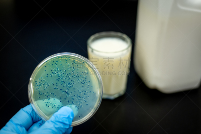 牛奶,盘子,细菌,分离着色,生物学,微生物学,健康保健,药,生物科技,科学实验