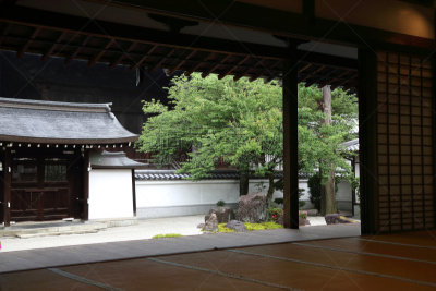 京都府,寺庙,灵性,外立面,水平画幅,枝繁叶茂,苔藓,户外,石材