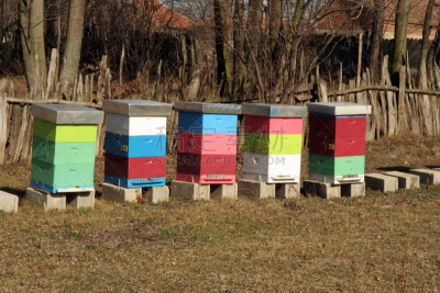 蜂箱,昆虫群,beekeeper,养蜂,褐色,水平画幅,户外,草,两翼昆虫,农业