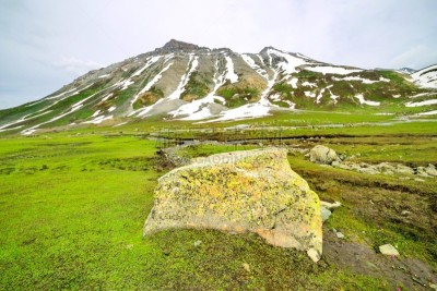 田地,野花,霞慕尼,高加索山脉,查谟和克什米尔,天空,风,地名,雪,早晨