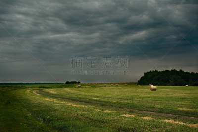田地,暴风雨,大自然保护协会,水平画幅,无人,格拉斯谷,俄罗斯,摄影