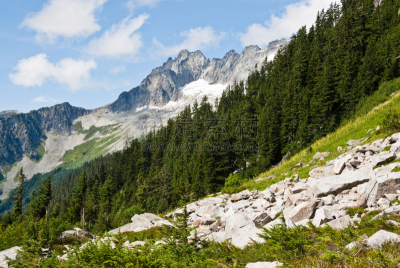 草地,卡斯基德山脉,山口,低视角,碎石板山,距骨,美国西北太平洋地区,斯卡吉特县,华盛顿州,云