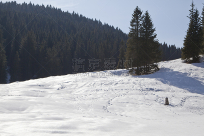 雪,指纹,齐亚戈干酪,水平画幅,山,无人,风景,森林,户外,杉树