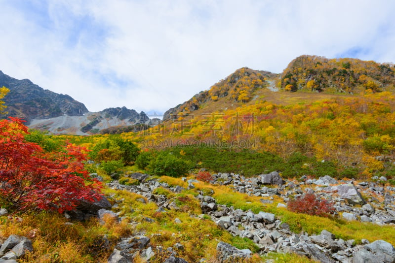 日本阿尔卑斯山脉,地形,北,上高地国家公园,松本,避暑圣地,山梨树,长野县,天空,美