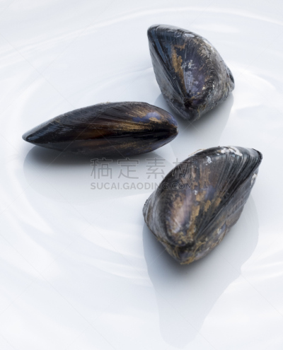 贻贝,白色,一个物体,盘子,海洋,三个物体,海蚌,双壳贝,自然,垂直画幅