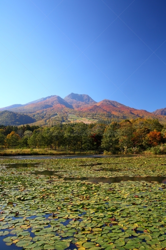 山,莲池,垂直画幅,水,天空,里山,荷花,林区,无人,火山地形