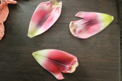 郁金香,夏天,生日,草,明亮,花束,白色,灌木,花头,花粉