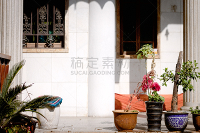 白色,昆明,云南省,圆通寺,植物群,外立面,留白,水平画幅,无人,晚樱科