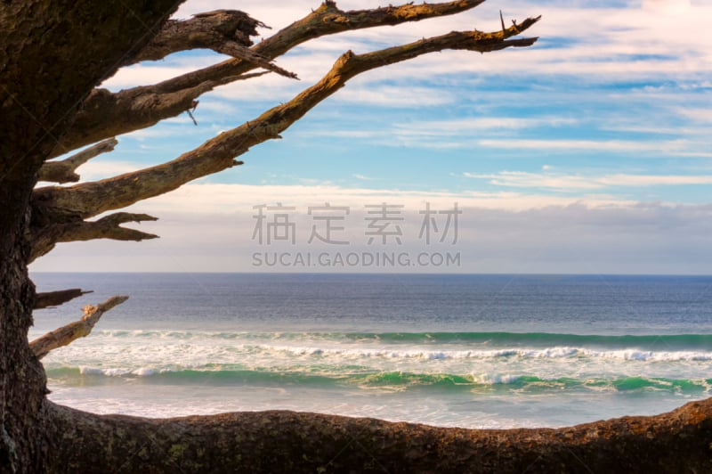 看风景,边框,海岸地形,自然,天空,留白,俄勒冈州,俄勒冈郡,奥勒冈海滨,宁静