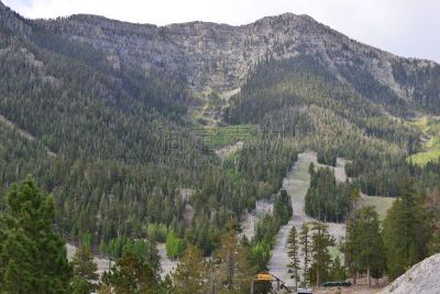 山,内华达州,美国,查尔斯顿,春山山脉,滑雪缆车,滑雪坡,松林,水平画幅,无人