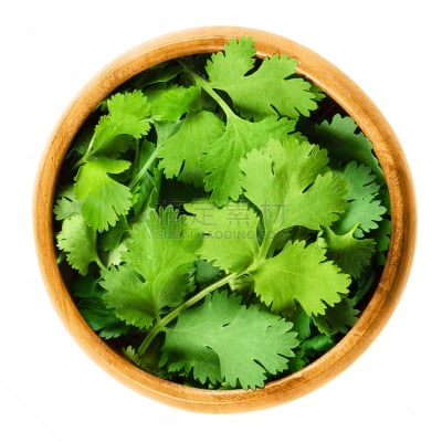 芫荽叶,碗,清新,叶子,木制,欧芹,草本,绿色,垂直画幅,芳香的