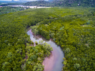 红树林,泰国,河流,航拍视角,水,水平画幅,高视角,无人,海岸地形,沼泽
