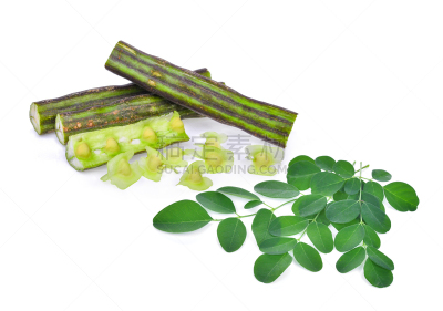辣木植物,叶子,白色背景,豆荚,自然,水平画幅,木制,无人,有机食品,山葵