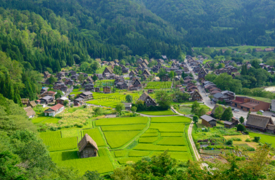 乡村,合掌屋,美,里山,水平画幅,无人,夏天,户外,岐阜县,非凡的
