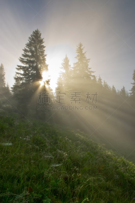 山,卡帕锡安山脉,地形,黄昏,乌克兰,高原,特伦钦,垂直画幅,无人,夏天