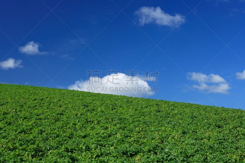 地形,富良野盆地,自然,天空,高原,水平画幅,山,无人,蓝色,日本