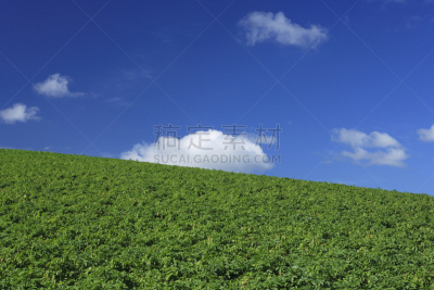 地形,富良野盆地,自然,天空,高原,水平画幅,山,无人,蓝色,日本