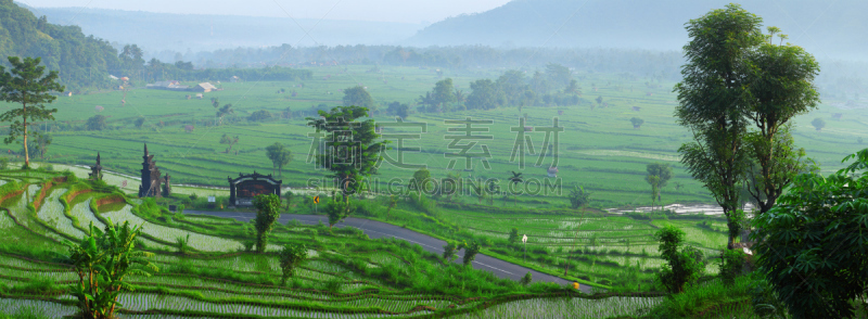 田地,山,稻,卡兰葛森地区,水,水平画幅,巴厘岛,无人,湿,早晨