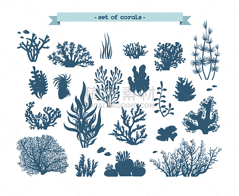 水下,珊瑚,水,无人,绘画插图,卡通,部分,海草,植物,礁石