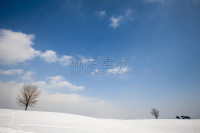 snow, tree, sky