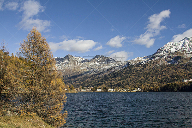 秋天,湖,席尔斯玛丽亚,水平画幅,无人,户外,针叶树,瑞士,山脉,落叶松