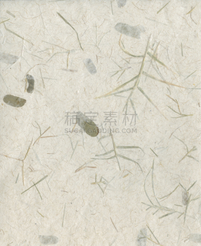 艺术,手艺,纸,垂直画幅,留白,式样,无人,干花,嫩枝,柔和色