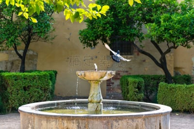 Fountain in the middle of a typical patio in Córdoba, with a pigeon taking flight after bathing on its waters.