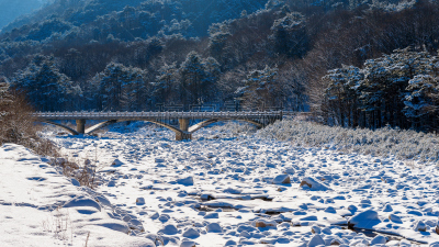 韩国,冬天,国家公园,雪岳山,海无花果树,蔚山,奇丽桑国家公园,江原道,滑雪雪橇,首尔