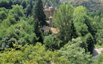 城堡,塞文山区,罗泽尔,朗格多克-鲁西永,水平画幅,无人,古老的,户外,树林,彩色图片