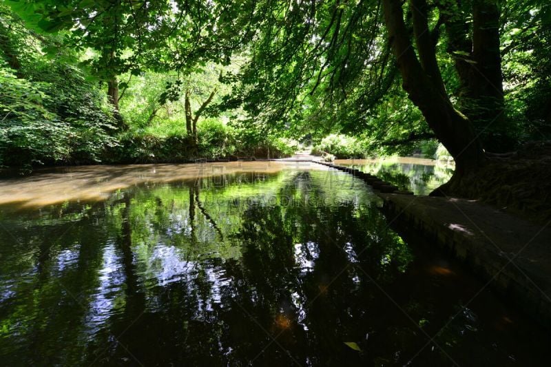 河流,垫脚石,萨里市,鼹鼠,水,水平画幅,枝繁叶茂,无人,英格兰,夏天