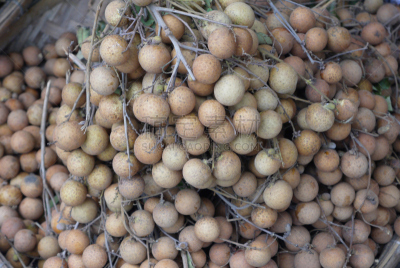 Longan — fruit, with a thin peel which very easily departs from pulp that allows to eat it quickly and without troubles