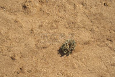 阿斯特拉罕,东欧大草原,半干旱,水平画幅,草,俄罗斯,山,著名景点,街道,自然