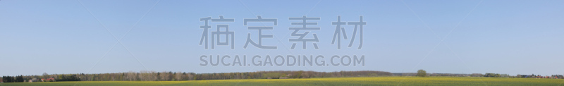 全景,油菜花,格赖夫斯瓦尔德,单一栽培,芸苔,天空,水平画幅,能源,无人,工厂