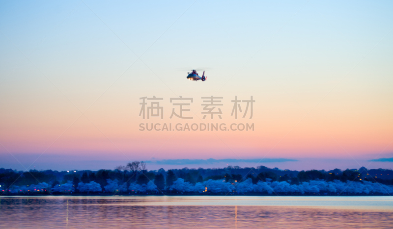 樱花节,华盛顿特区,潮汐湖,维吉尼亚,公园,柳树,水平画幅,樱花,无人,威斯敏斯特购物中心