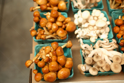 农业市集,食用菌,滑子菇,姬菇,饮食,水平画幅,无人,有机食品,生食,农产品市场