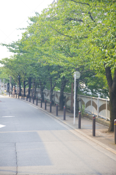 路,目黑河,目黒区,品川,垂直画幅,城镇景观,绿色,无人,城市天际线,日本