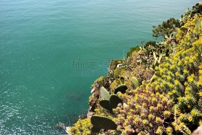五渔村,柯尔尼利亚,悬崖,海岸线,意大利,绿色,天空,水平画幅,无人,夏天