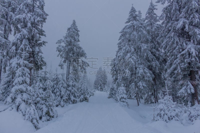 Auf dem Weg durch die schöne Winterlandschaft im Harz